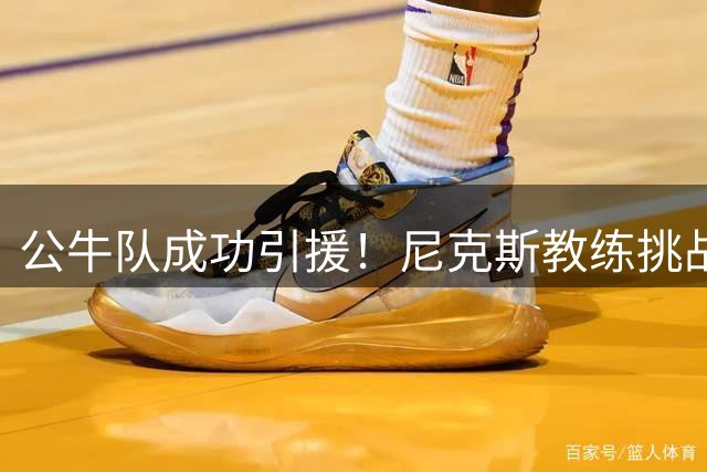 公牛队成功引援！尼克斯教练挑战专家乔丹-布林克加盟