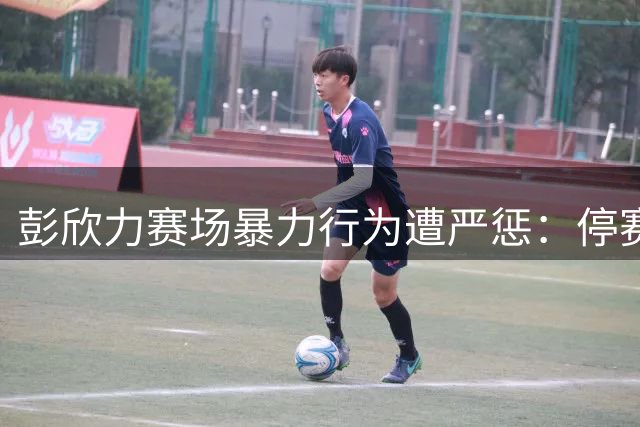 彭欣力赛场暴力行为遭严惩：停赛四场罚款四万