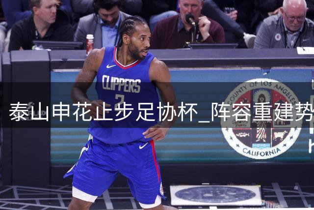 泰山申花止步足协杯 阵容重建势在必行